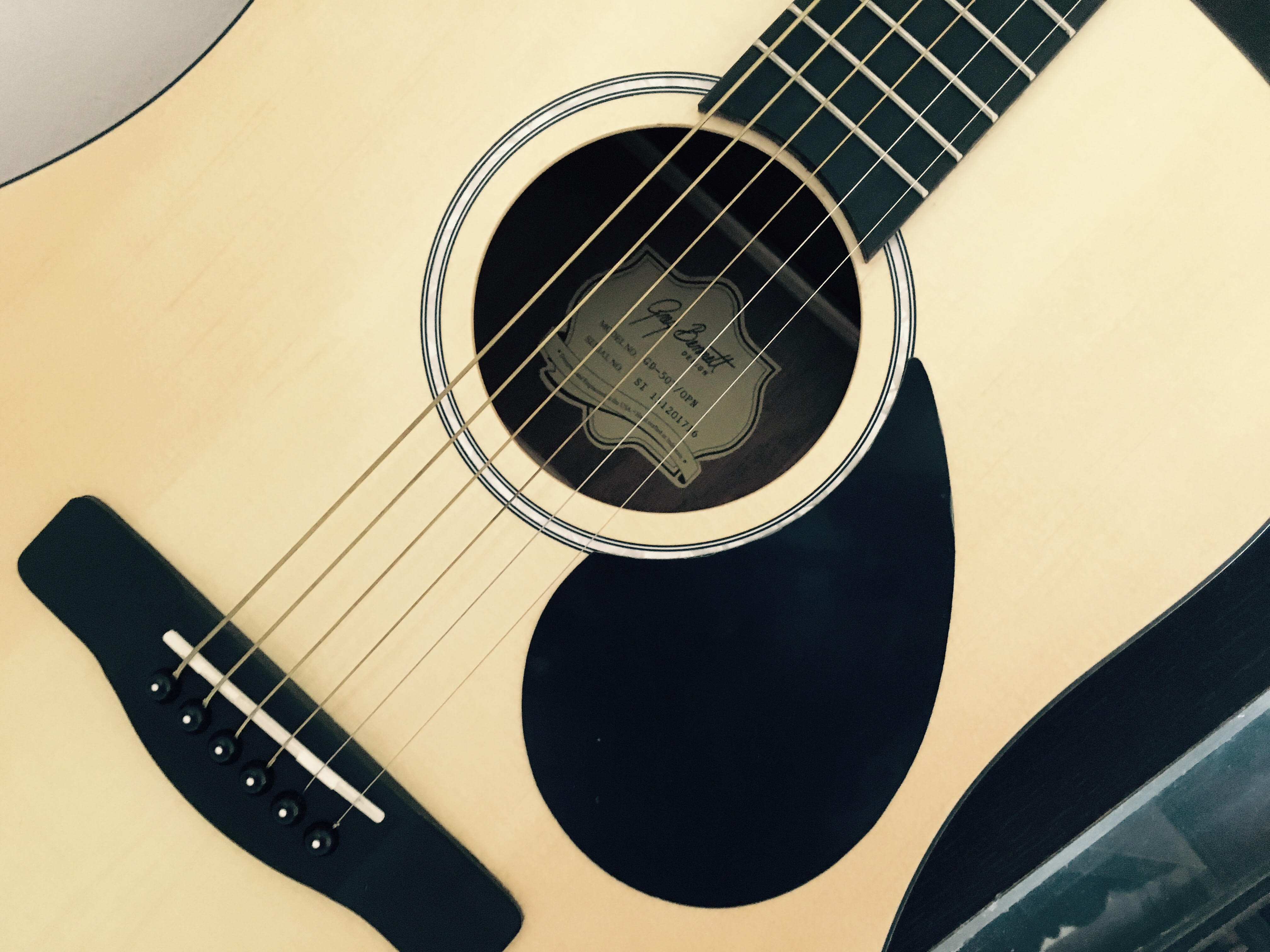 My acoustic guitar - Greg Bennett