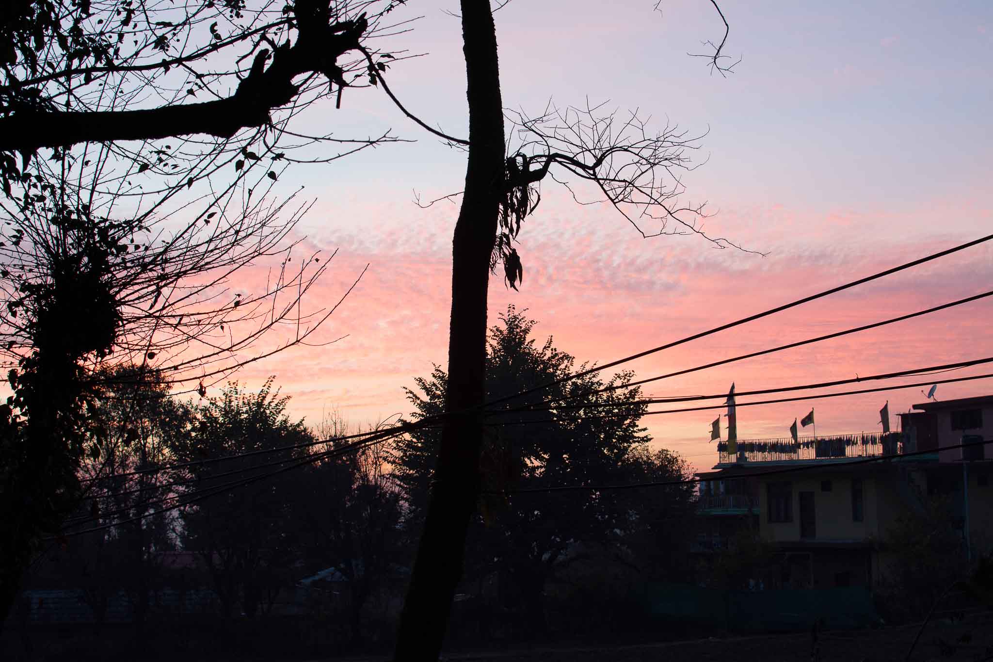 Near the Norbulingka Institute, Dharamshala, India